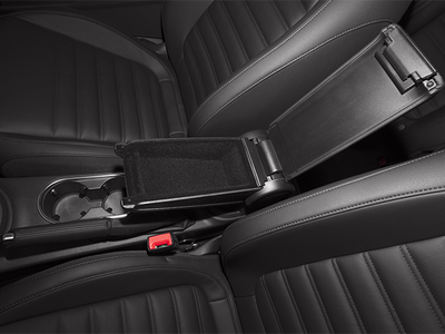 2013 Volkswagen Beetle 2.0 TSi