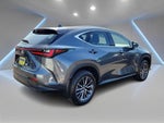 2024 Lexus NX 350h Premium