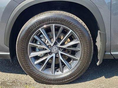 2024 Lexus NX 350h Premium