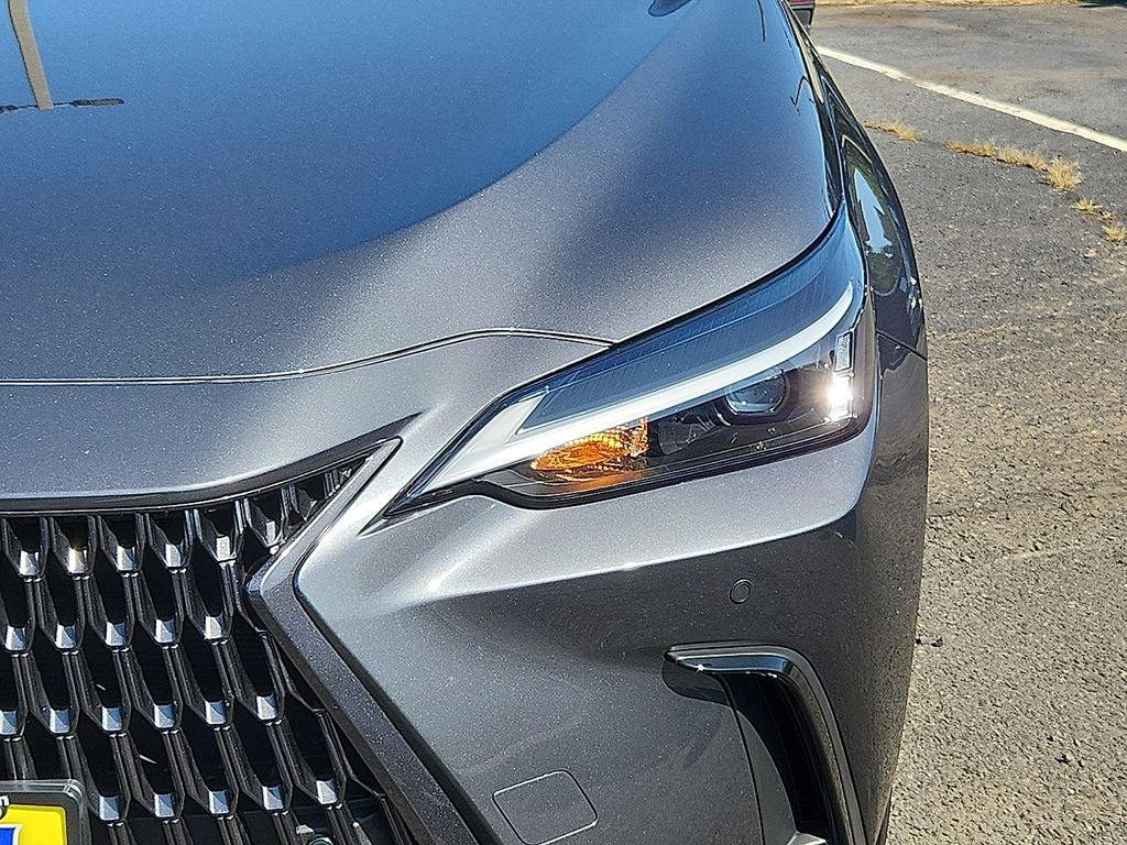 2024 Lexus NX 350h Premium